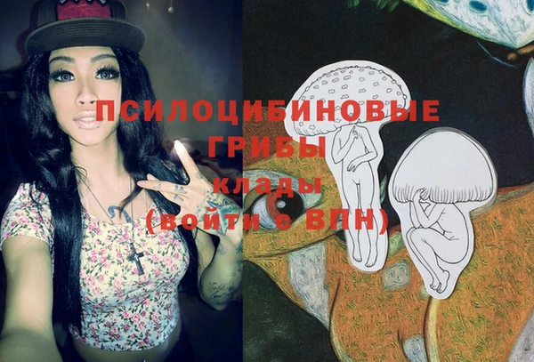 спайс Верея
