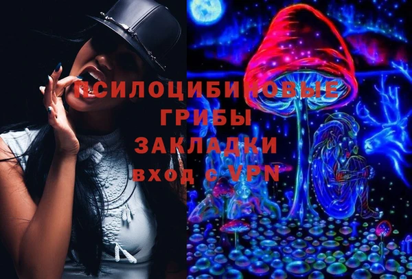 спайс Верея